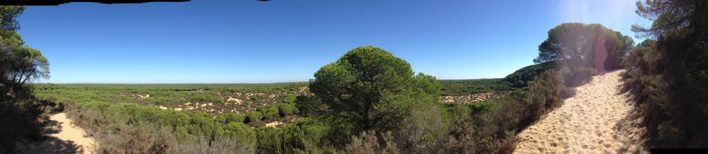 Excursión por el litoral de Doñana