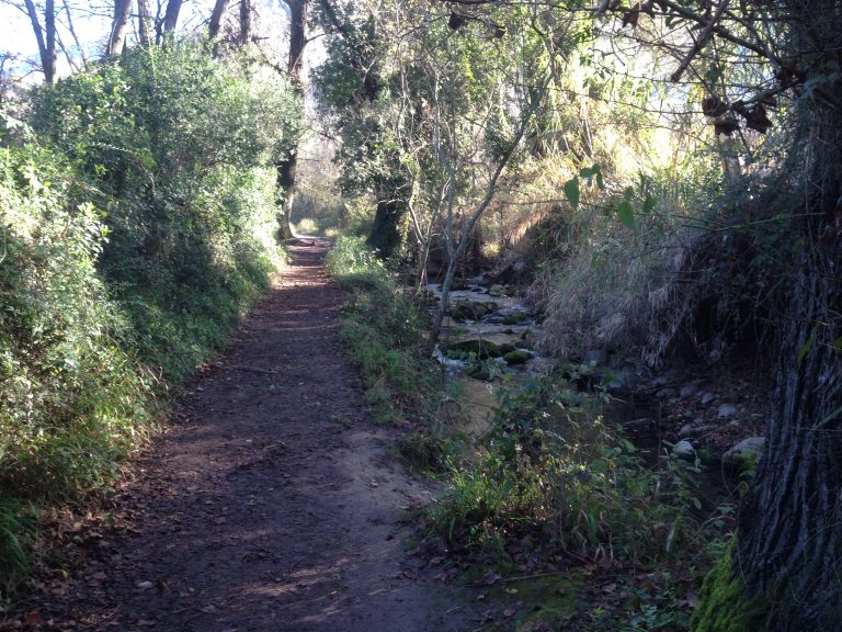 Sendero El Bosque Senderismo Sevilla