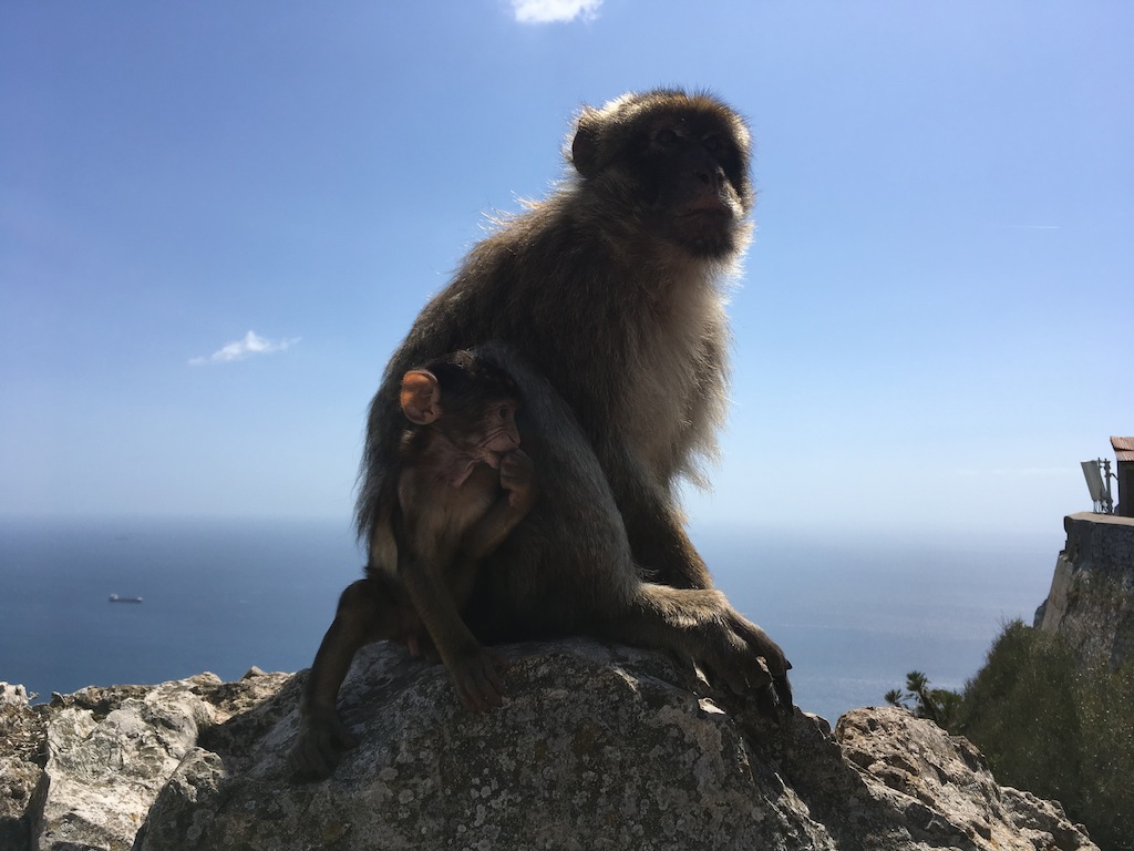 Un día de Senderismo en Gibraltar