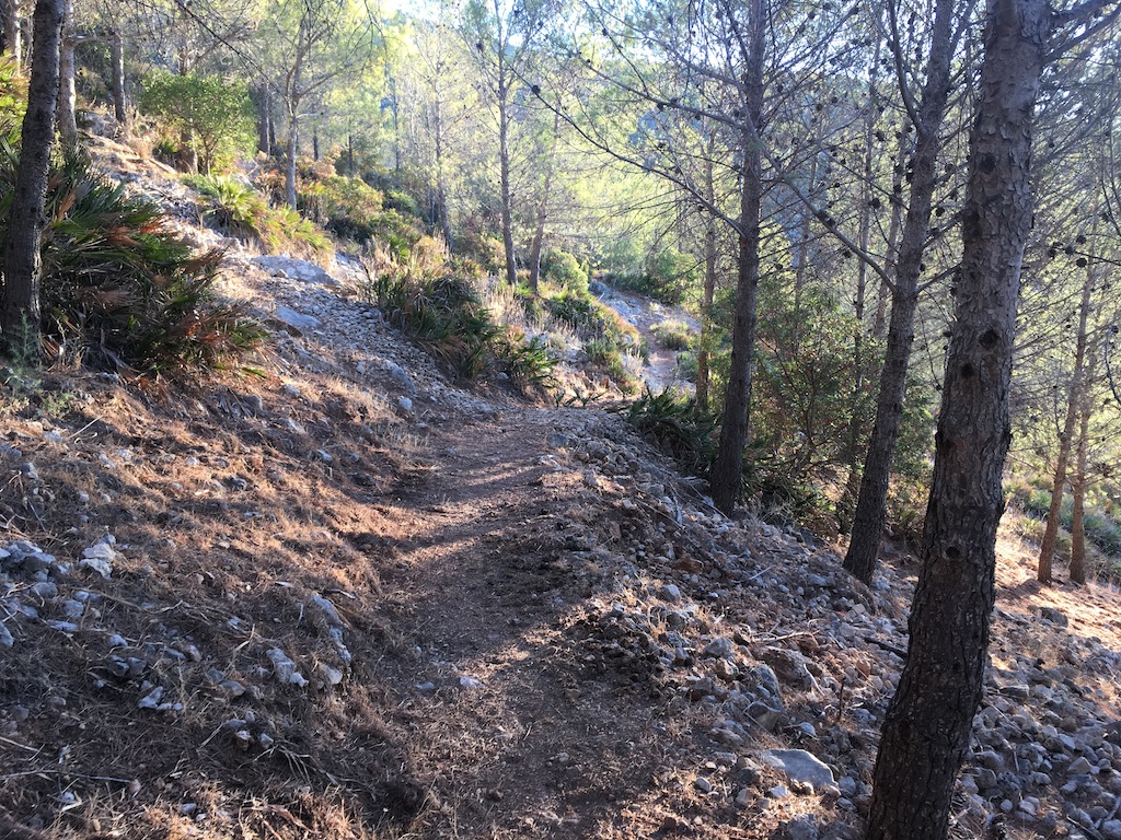 Algodonales Víboras Trail