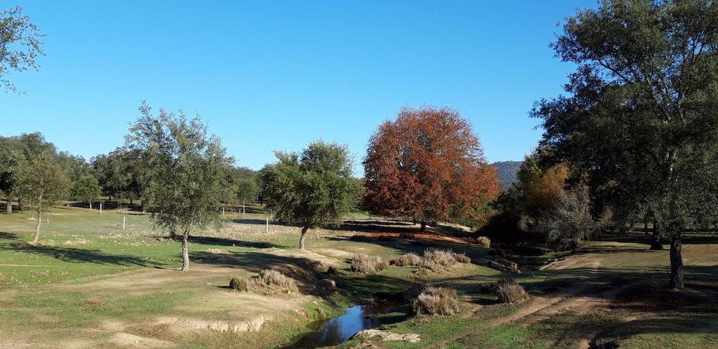 Senderismo y feria en El Pedroso – Arroyo de las Cañas
