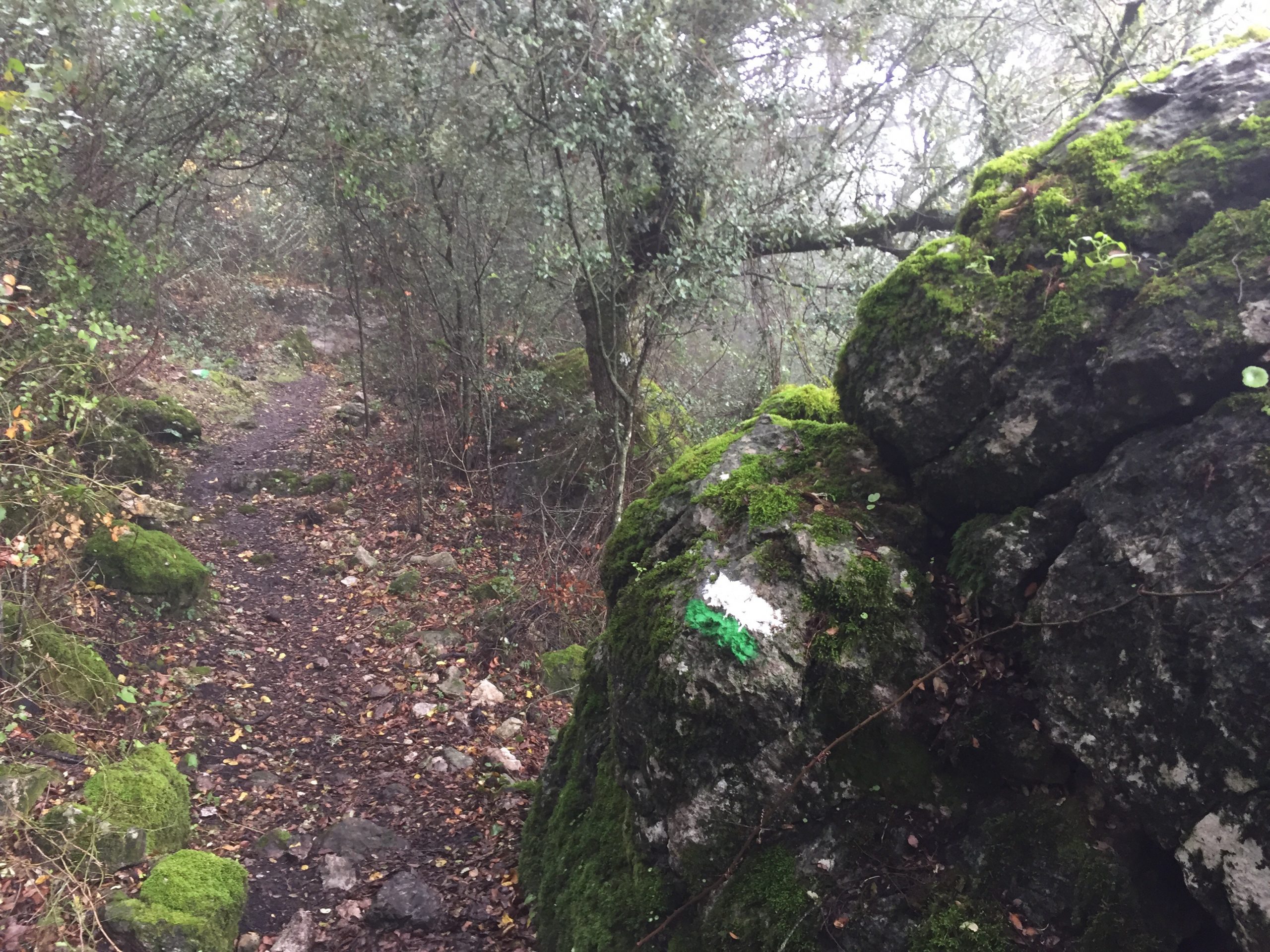 Foto de Sendero Algamita en Algámitas, Sevilla