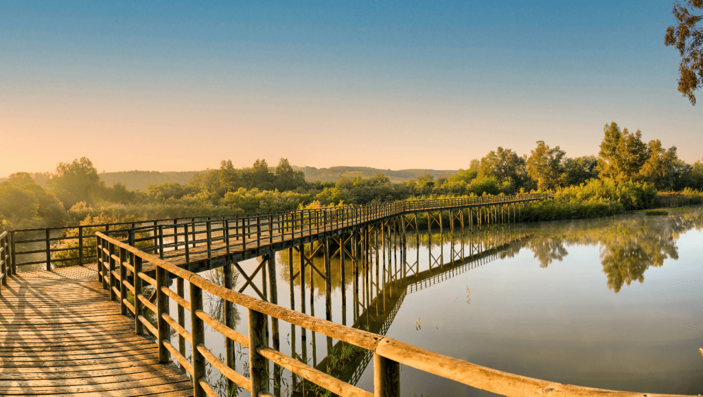 CORREDOR VERDE DEL GUADIAMAR