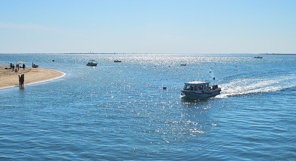 isla Armona