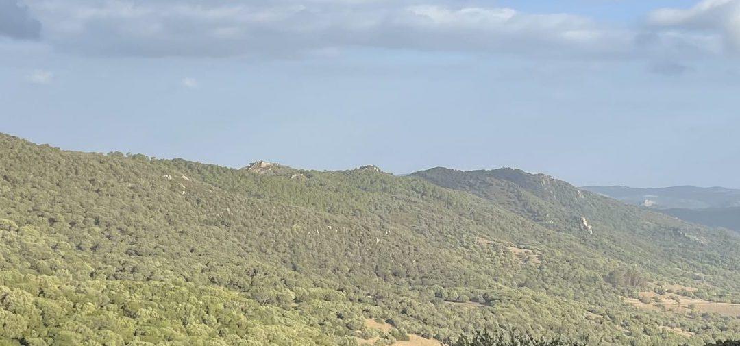 Pico de la Gallina