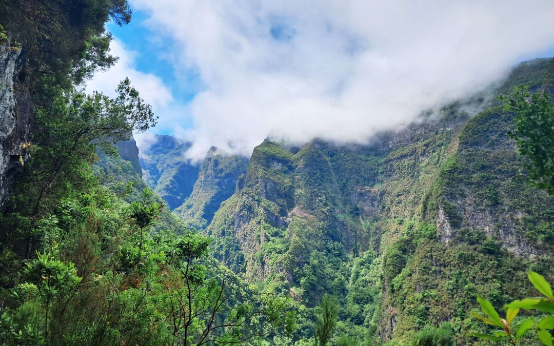 SENDERISMO EN MADEIRA, A ILHA DA ETERNA PRIMAVERA