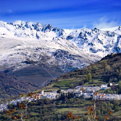 Fin de Año Alpujarreño