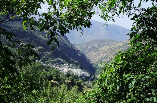 Los Bandoleros de Grazalema I con transporte