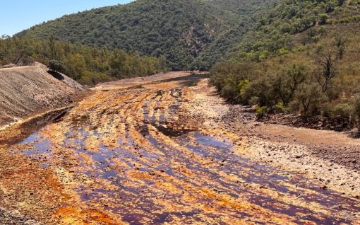 Por el Rio Tinto y el Barranco del Lobo con transporte
