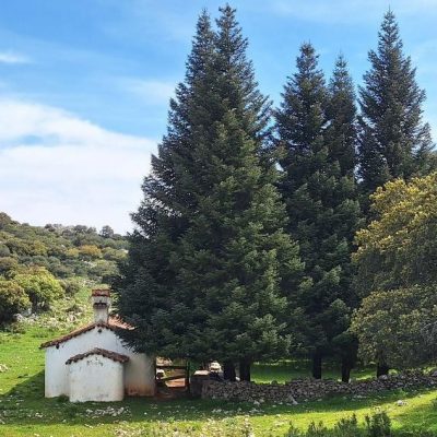 La Casa de los Pinsapos en Villaluenga del Rosario con transporte