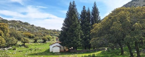 La Casa de los Pinsapos en Villaluenga del Rosario con transporte