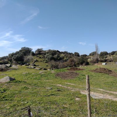 Arroyo de las Cañas (El Pedroso) Con Transporte