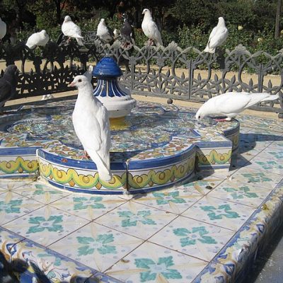 Biodiversidad del Parque María Luisa No Socio