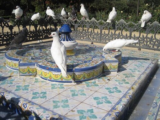 Biodiversidad del Parque María Luisa No Socio