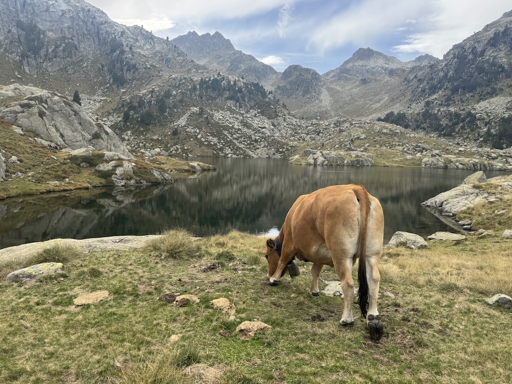 Viaje al Parque Nacional de Aiguestortes y Lago San Mauricio señal de reserva - Imagen 2