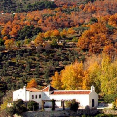 Ruta por el Castañar de Yunquera Sin Transporte