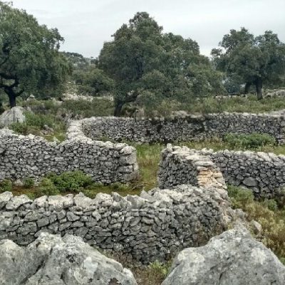 La Ruta de los Aljibes en Ubrique sin transporte