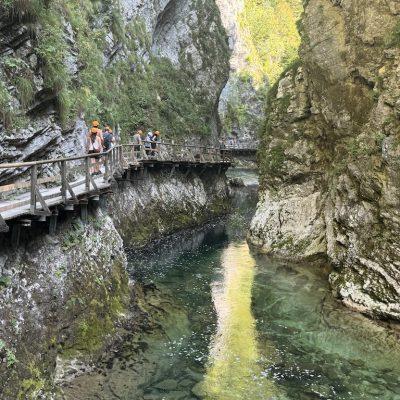 Viaje al Paraíso de Eslovenia habitación individual