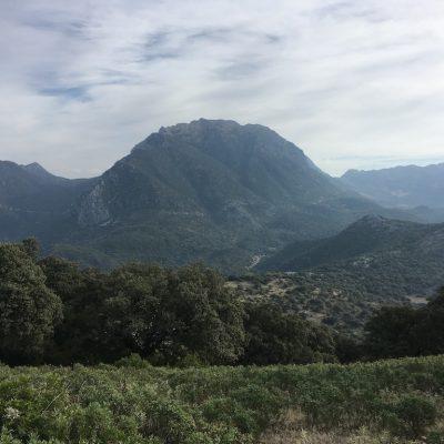 Bandoleros de Grazalema II: Tesorillo y Albarracín sin transporte