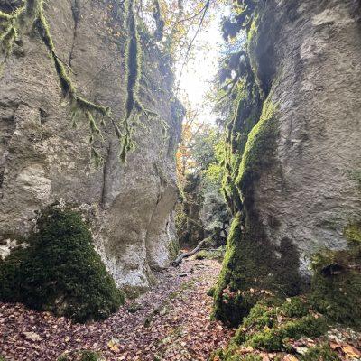 Descubriendo Navarra con San Fermín habitación individual