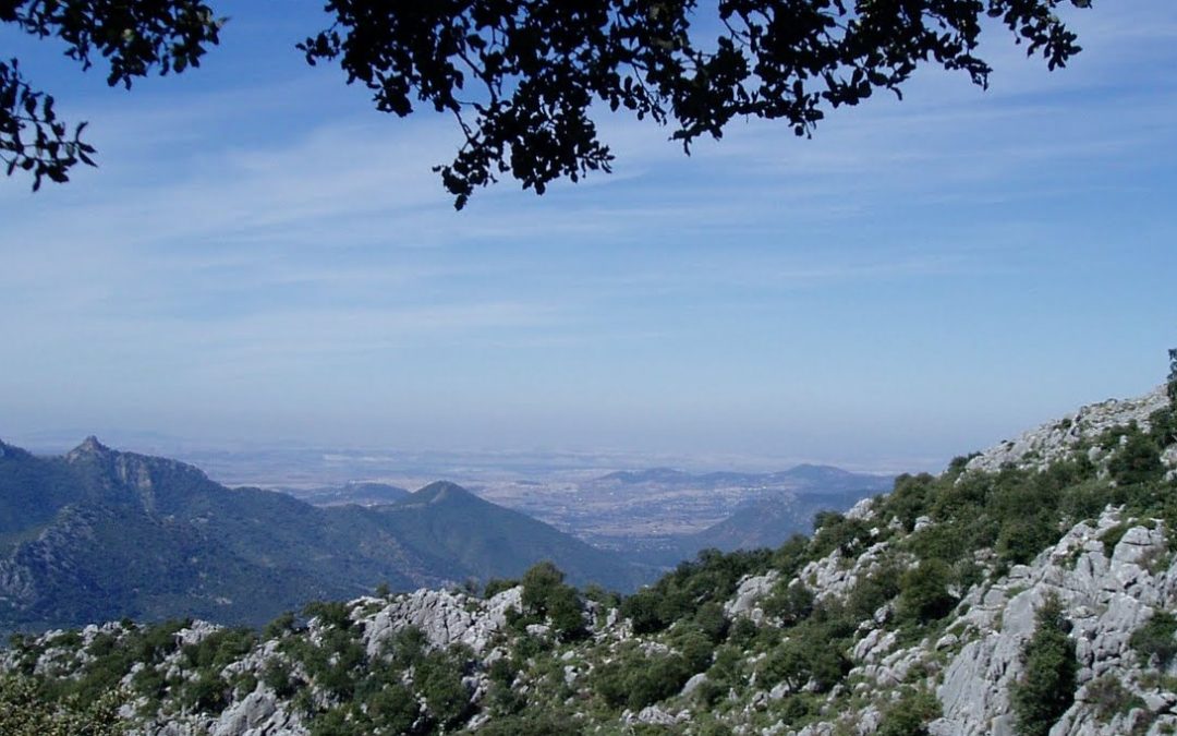 RUTA DE LOS ALJIBES EN UBRIQUE