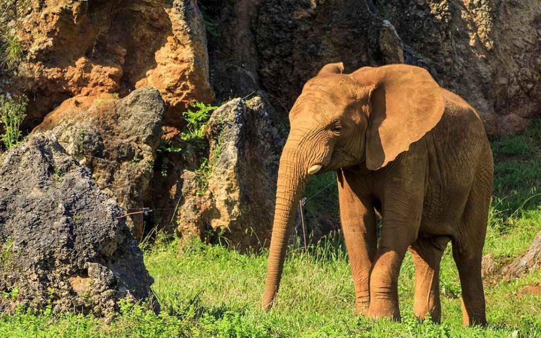 CANTABRIA, SENDERISMO VERDE Y AZUL