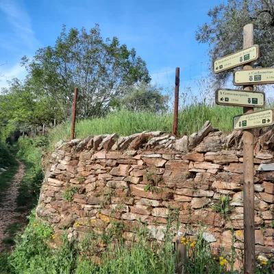 Circular Corteconcepcion - Aracena Sin Transporte