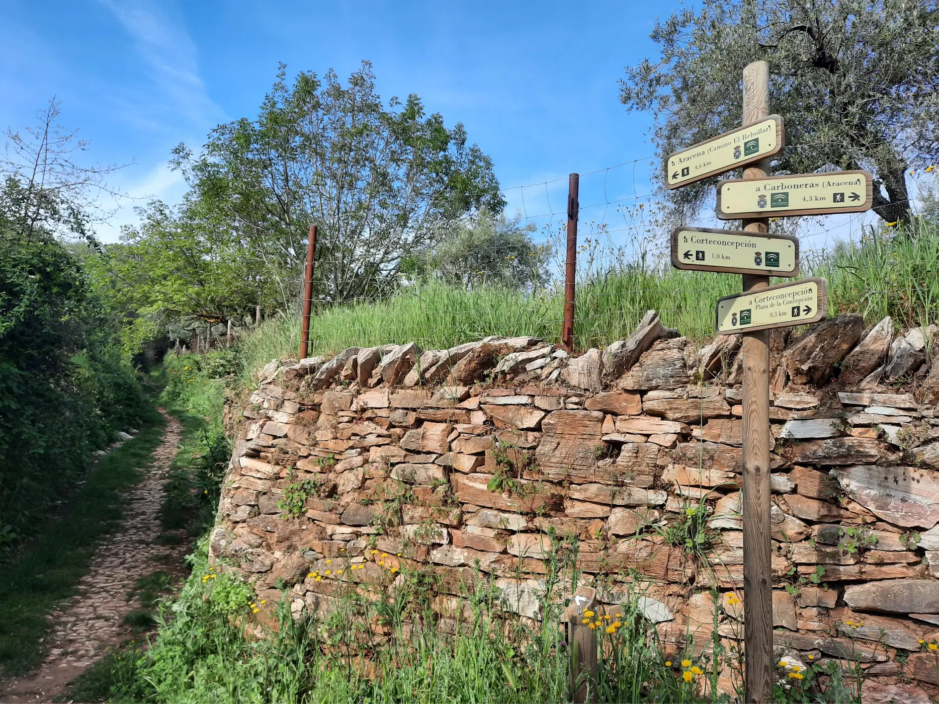 Circular Corteconcepcion - Aracena Sin Transporte