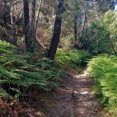 Navahermosa Valdelarco (por Las Cañadas) Sin Transporte