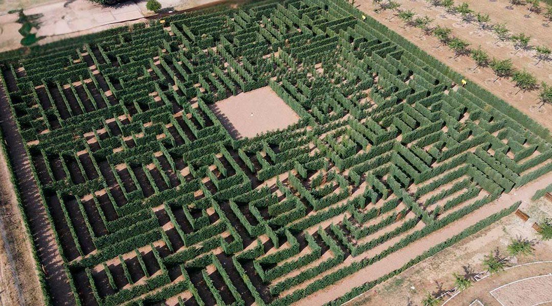 EL LABERINTO VICTORIANO DE MÉRIDA