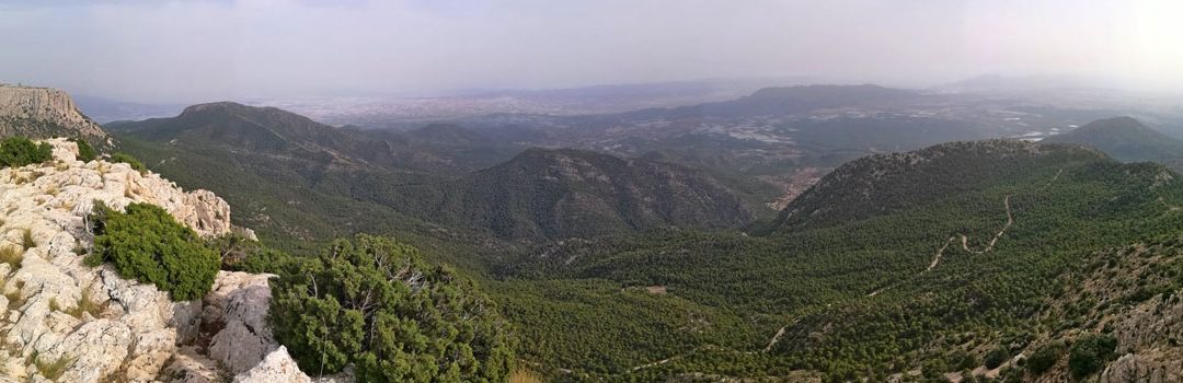 VIAJE AL PARQUE REGIONAL SIERRA ESPUÑA