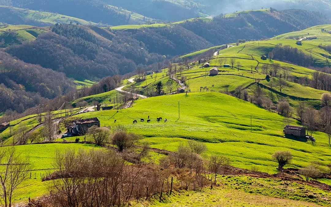 Doblete de Verano Francia y Cantabria