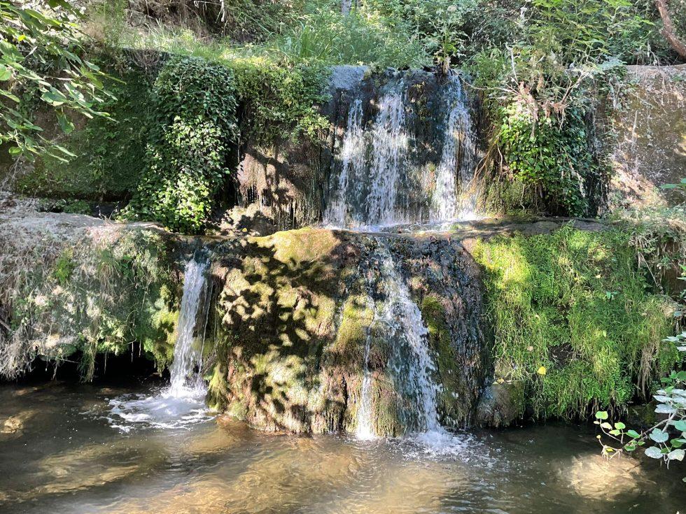 Excursión a La Toleta