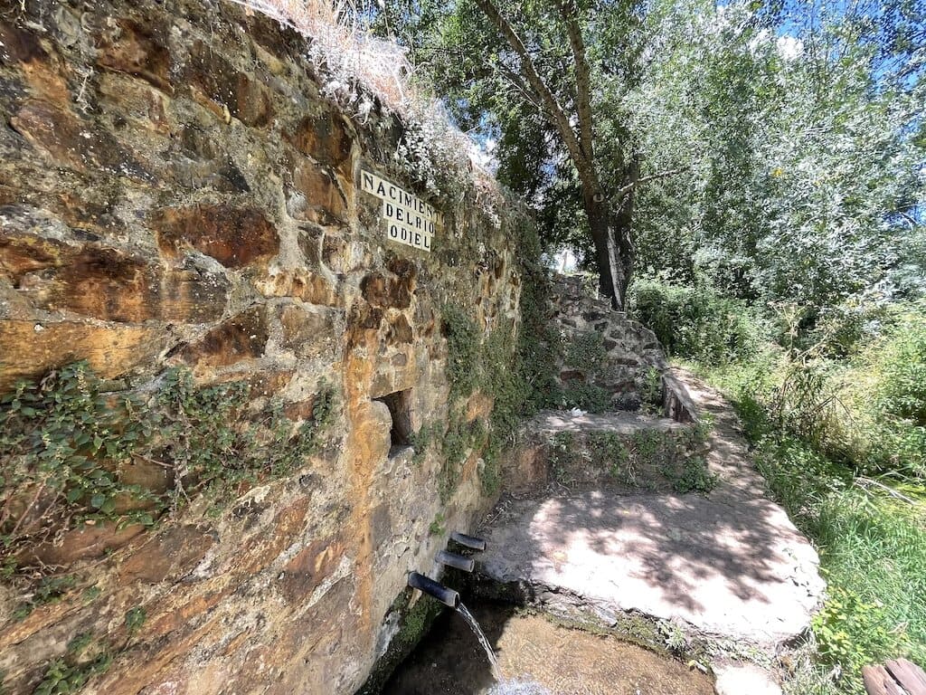 Excursión a La Toleta