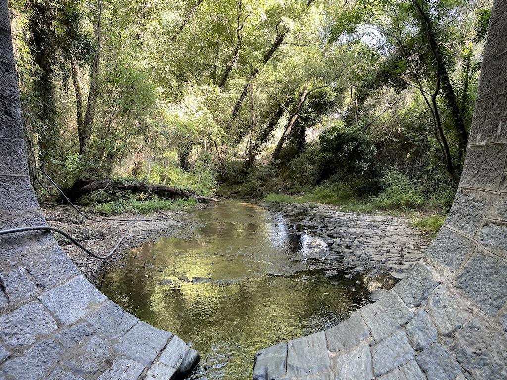 Excursión a La Toleta