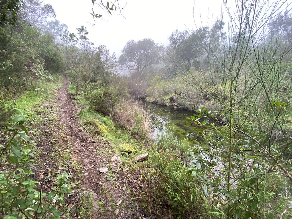 Excursión a La Toleta