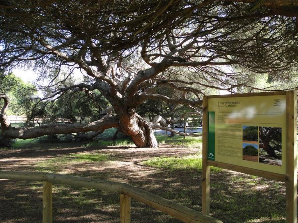 Excursión a La Toleta