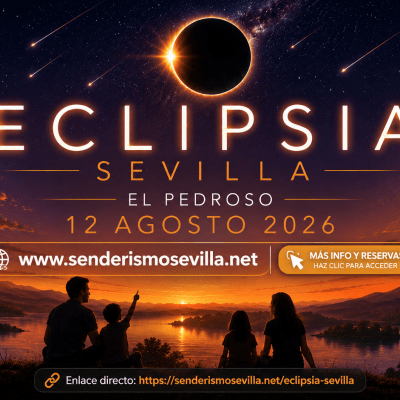 Eclipsia Sevilla con transporte