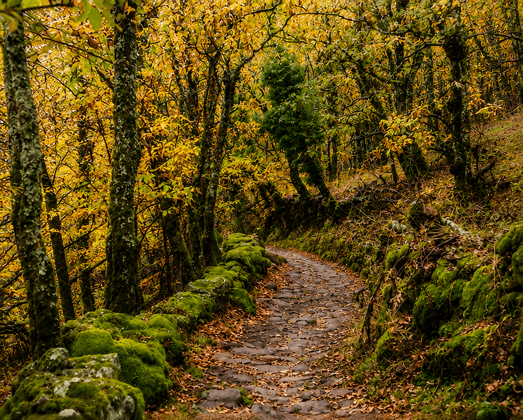 Otoño en el Valle del Ambroz habitación doble - Imagen 10