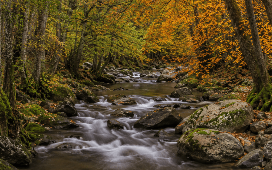 OTOÑO EN EL VALLE DEL AMBROZ