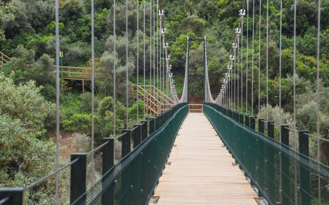 NUEVO CINTURON VERDE DE CÓRDOBA