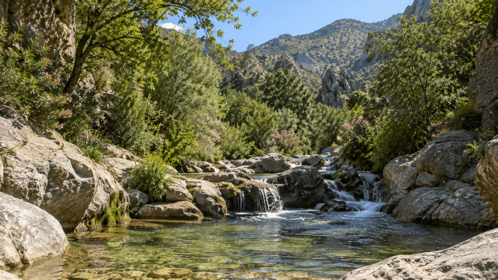 canales de padules