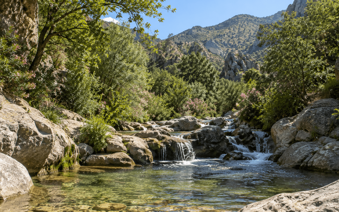 VIAJE A LA ALPUJARRA ALMERIENSE