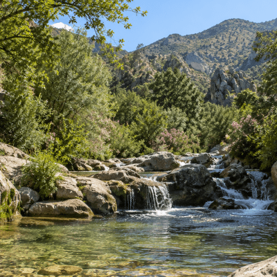 canales de padules