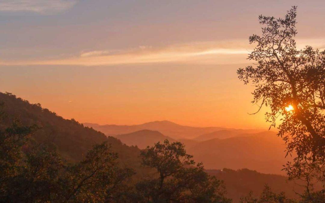 DEHESAS DE VALDELAMA: EL CORAZÓN DE LA SIERRA DE ARACENA