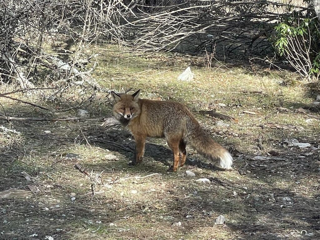 Cazorla, Naturaleza y lujo para despedir el año señal de reserva - Imagen 6