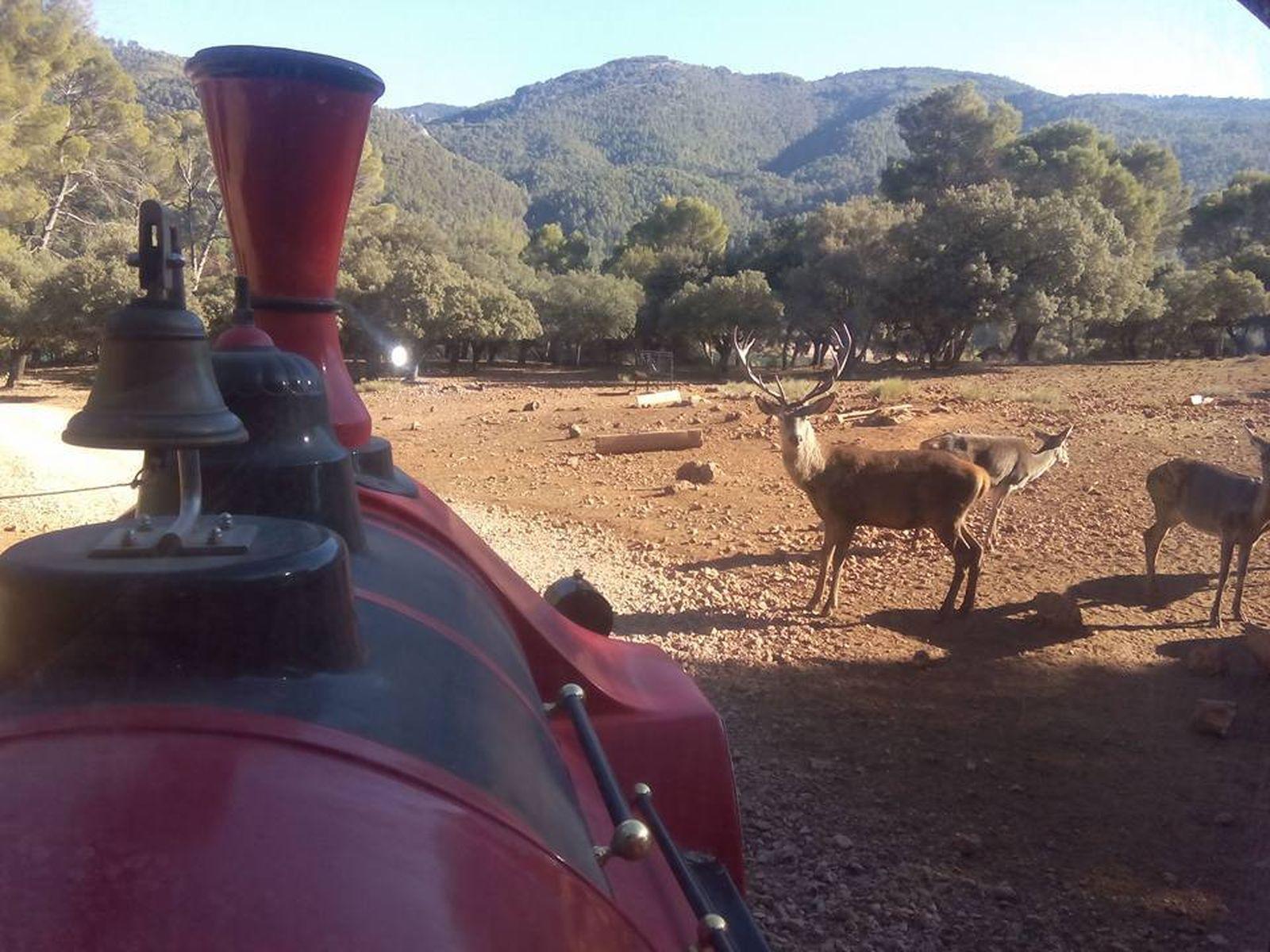 Cazorla, Naturaleza y lujo para despedir el año señal de reserva - Imagen 5